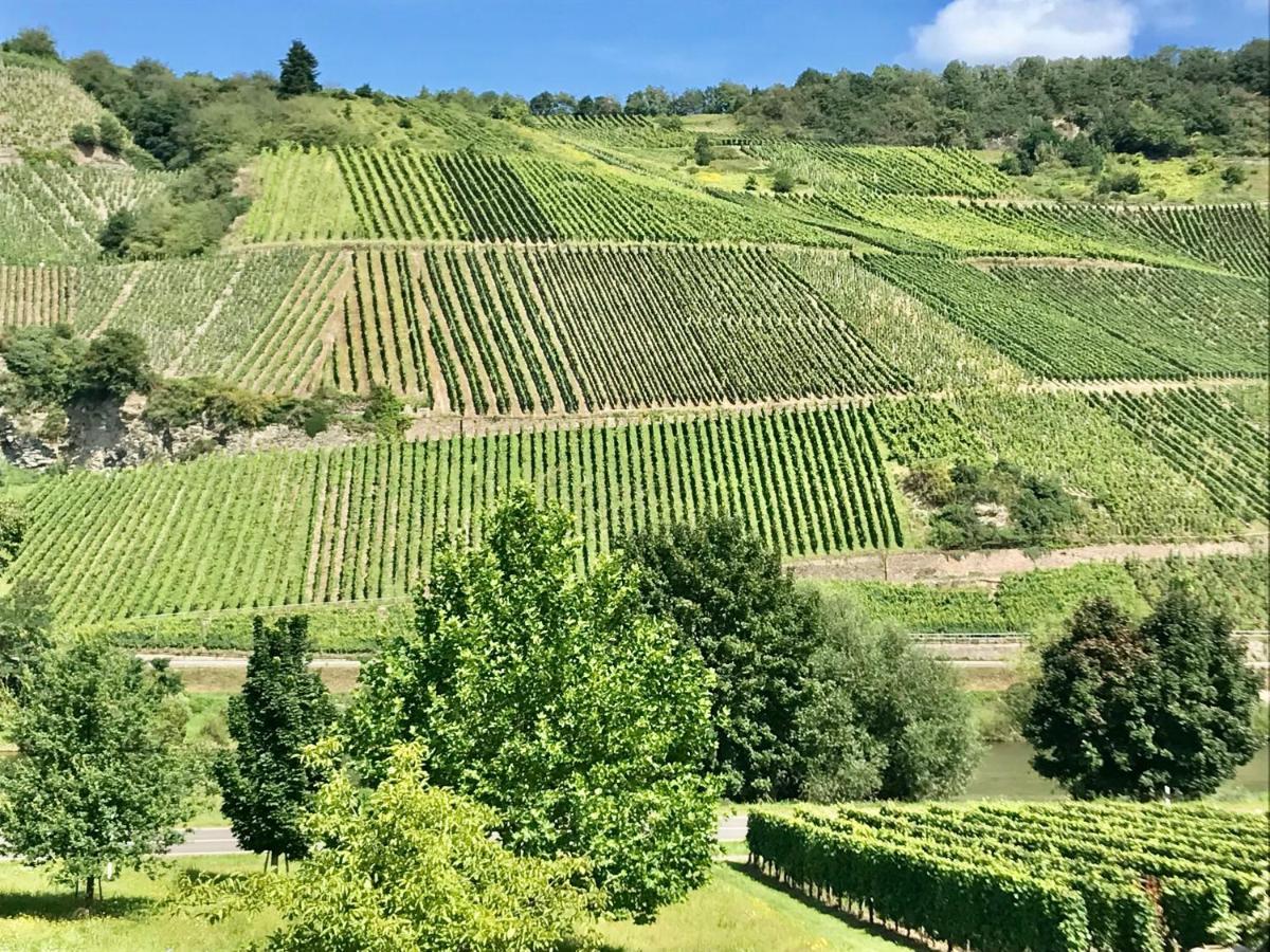 Weinlofts An Der Mosel Mit E10 Ladestation Lägenhet Köwerich Exteriör bild
