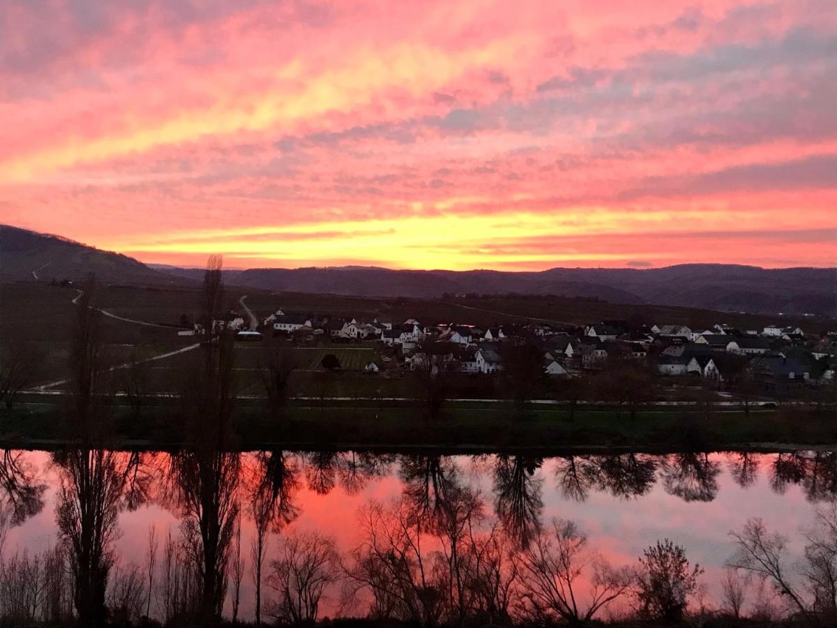 Weinlofts An Der Mosel Mit E10 Ladestation Lägenhet Köwerich Exteriör bild