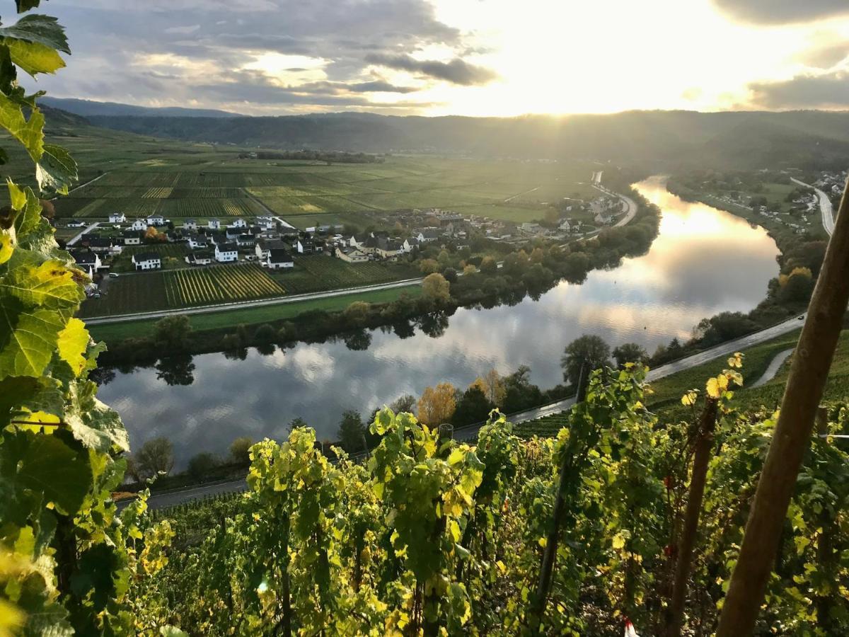 Weinlofts An Der Mosel Mit E10 Ladestation Lägenhet Köwerich Exteriör bild
