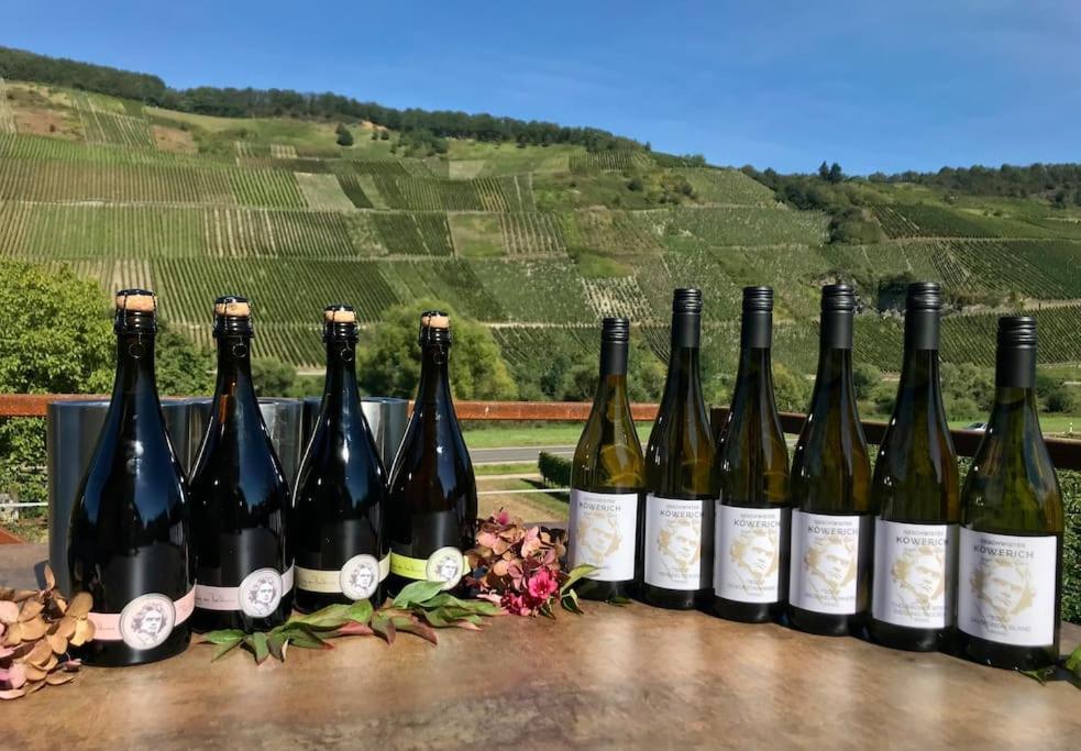 Weinlofts An Der Mosel Mit E10 Ladestation Lägenhet Köwerich Exteriör bild